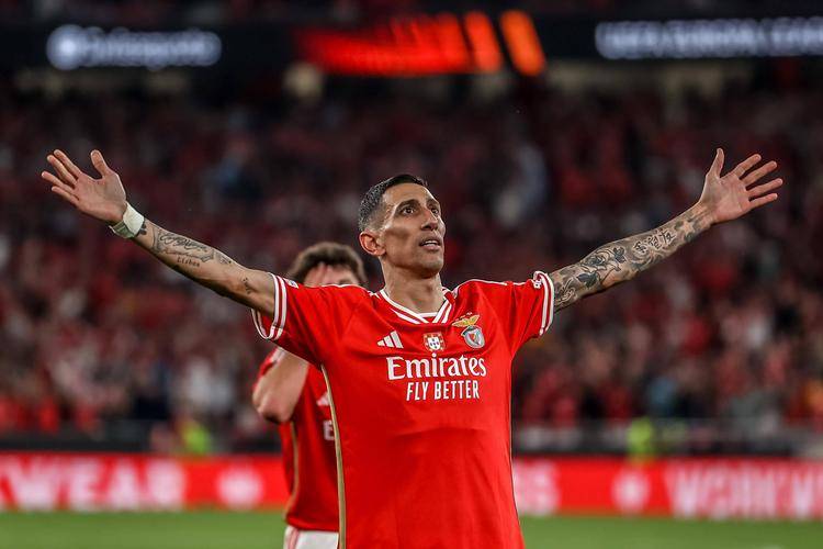 开云全站登录 -今晚突围战来临，本菲卡围绕法甲队长鼓劲，形势明朗，资深球员宣示担当的简单介绍